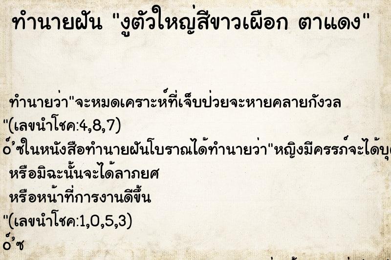 ทำนายฝัน งูตัวใหญ่สีขาวเผือก ตาแดง ทำนายฝัน งูตัวใหญ่สีขาวเผือก ตาแดง